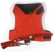 Red Cat Harness with Heart Velvet Lead